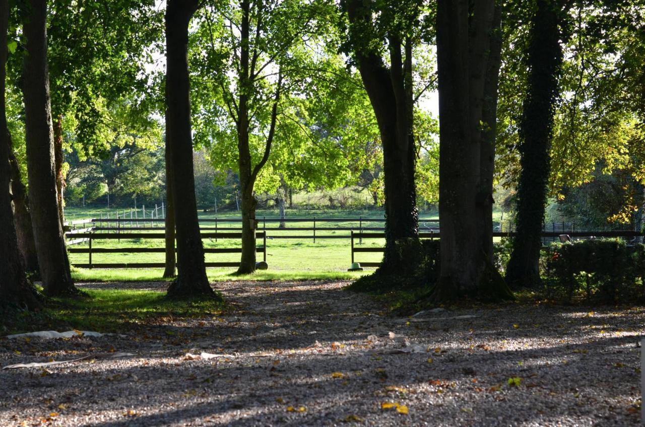B&B La Tour Blanche Forest-Montiers Exterior foto